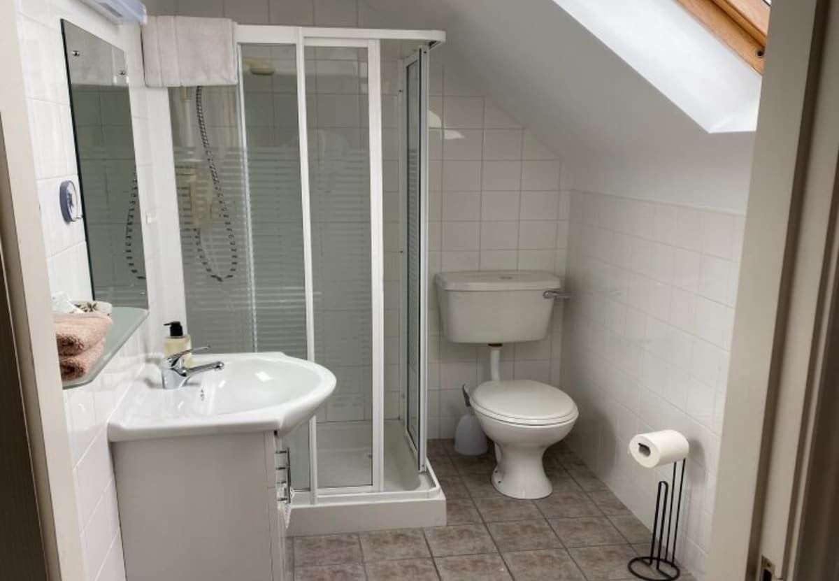 Un baño con ducha de vidrio, un lavamanos blanco, un inodoro y un rollo de papel higiénico en su soporte.