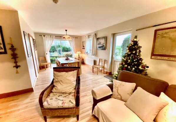 TV, fireplace, books