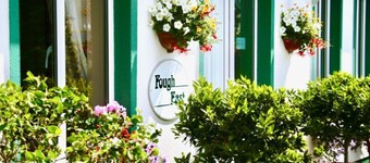 Fough East, Cozy and close to town