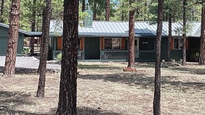 Una baita con tetto in metallo, circondata da alberi e un piccolo portico con ringhiera.