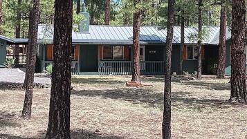 A cabin with a metal roof, surrounded by trees, and a small porch with a railing.