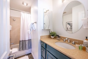 A bathroom with a bathtub, a shower, a sink with a mirror, and a potted plant on the counter.