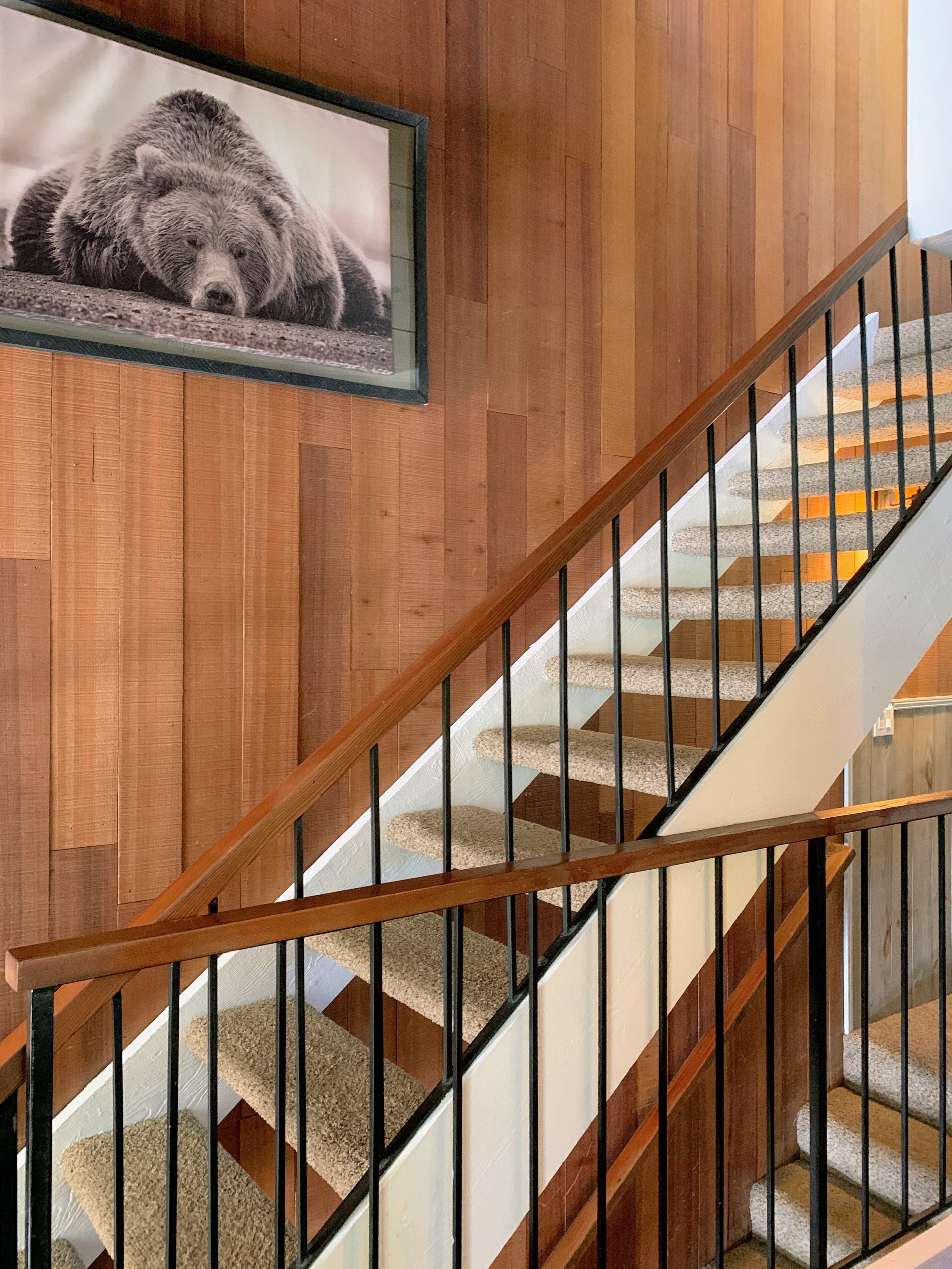 A wooden staircase with a black railing, leading to a landing where a framed photograph is displayed.