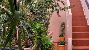 A staircase with terracotta steps and a black handrail, surrounded by potted plants and a pink wall. - Surf Riad in Taghazout (Taghazout)