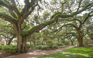 Condo, 3 Bedrooms | Property grounds - Gordon Chic by Lucky Savannah (Savannah)