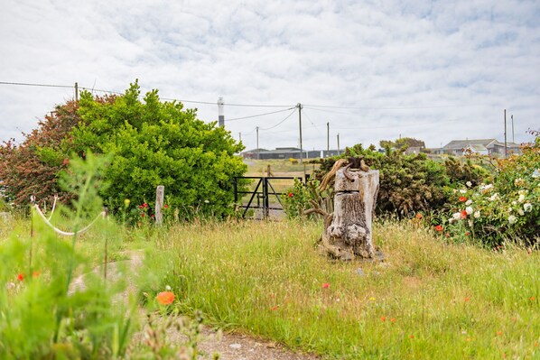 Un paisaje rural con un sendero cubierto de pasto, un poste de madera y una reja de metal.
