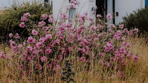 A white building with a red chimney, a small attached structure with a door, and pink flowers in the foreground. - West Cottage -  charming seaside cottage by Bloom Stays - 4 guests  in 2 bedrooms (Dungeness)