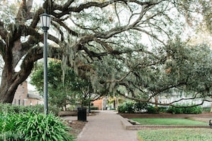 Appartamento, 2 camere da letto | Parco della struttura