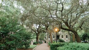 Property grounds - Steeple View Loft by Lucky Savannah (Savannah)