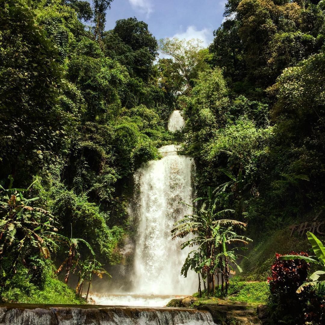 A waterfall surrounded by dense greenery.