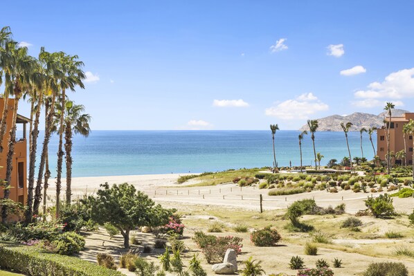 On the beach, sun loungers, beach towels