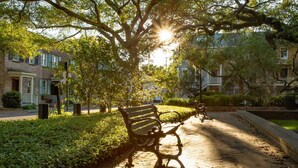Property grounds - Perch on Perry by Lucky Savannah (Savannah)