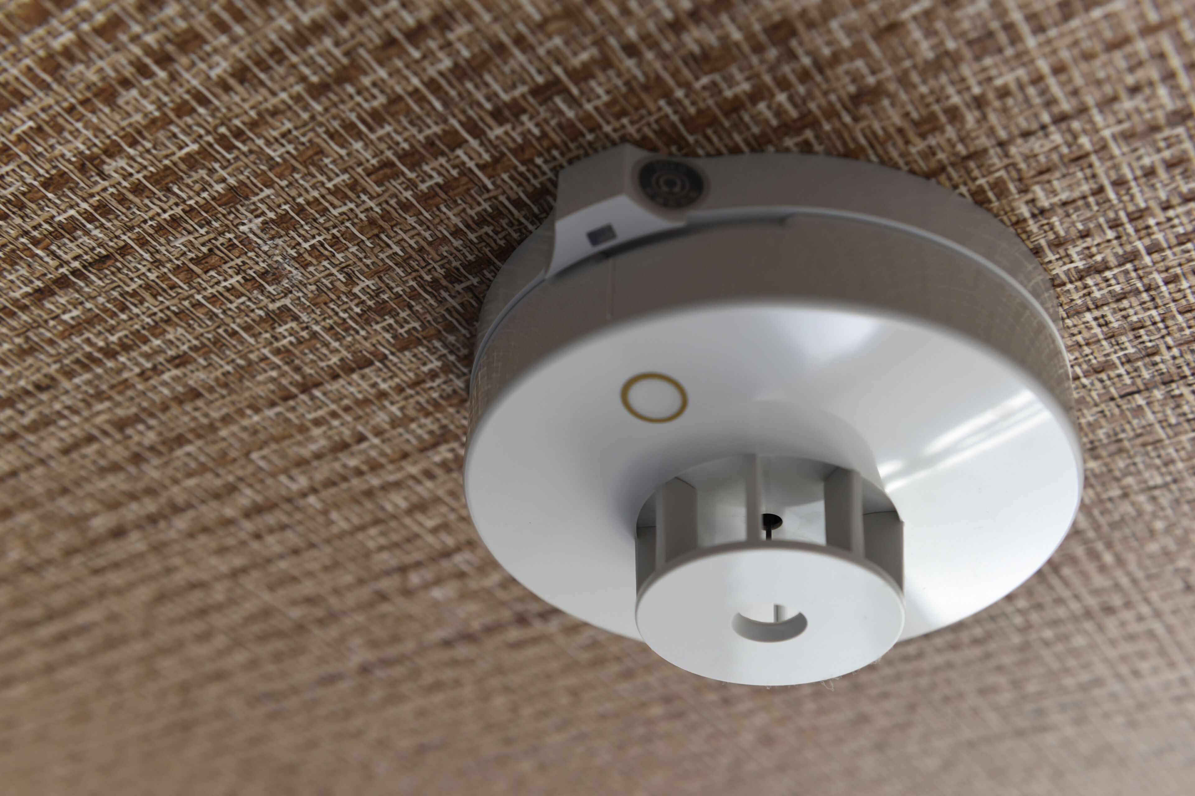 Foto - Osaka Ebisu Hotel