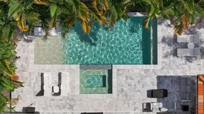 A heated pool - Stunning South Tampa 6 Bedroom House (Tampa)