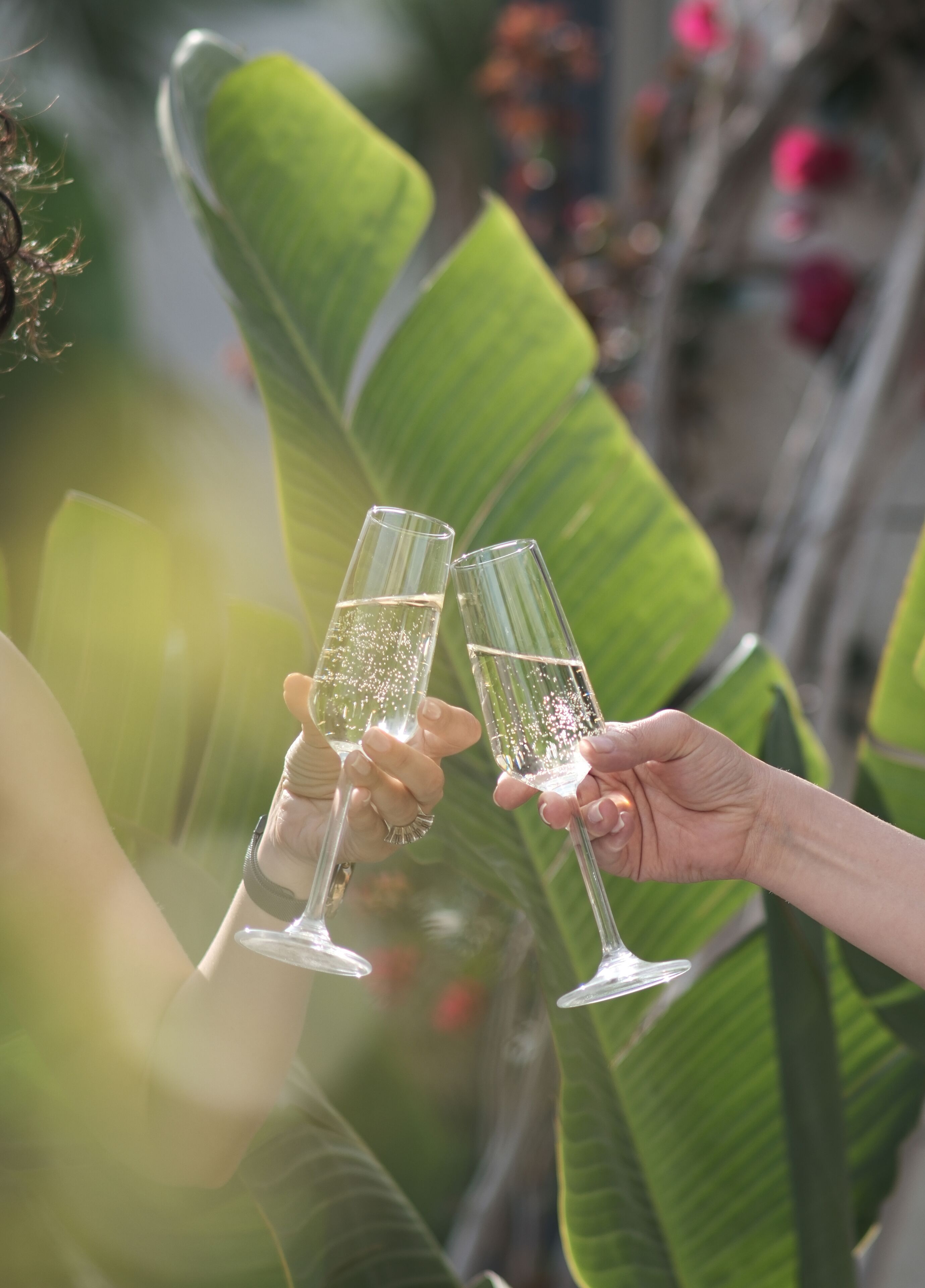 Two people toasting with champagne glasses.
