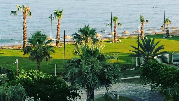 Une vue sur la côte, avec des palmiers, une zone herbeuse et une plage en arrière-plan.