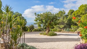 Een tuin met een grindpad, diverse planten en bomen.