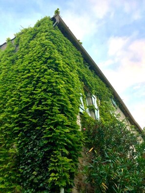 A building with a green ivy-covered exterior. - Residence La Borde (Plavilla)