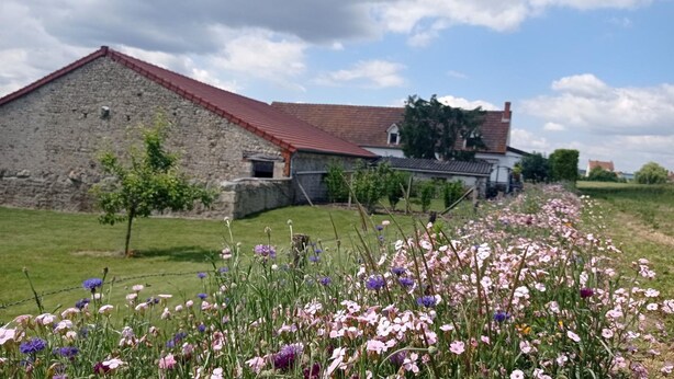 A stone building with a red roof, surrounded by a field of wildflowers.