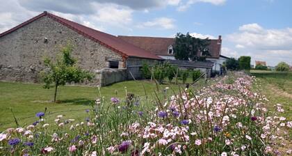 Maison de campagne rénovée avec terrasse et jardin