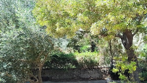 Un muro de piedra con árboles y vegetación.