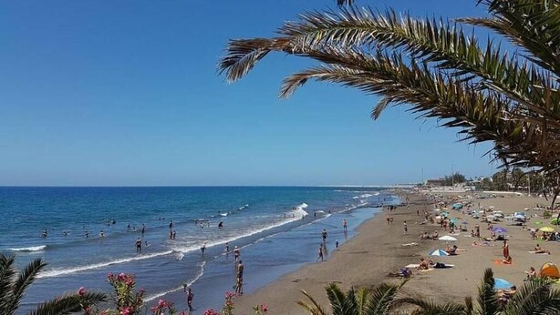 Une plage où l’on peut se baigner et bronzer, avec des palmiers et un ciel bleu dégagé.