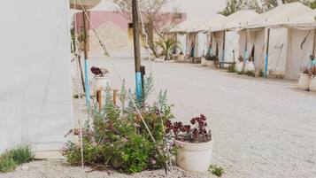 Glamping | Free WiFi, bed sheets