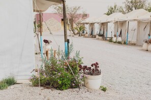 Glamping | Wi-fi (inkludert) og sengetøy