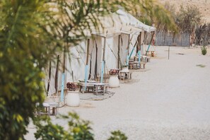 Telt – basic | Wi-fi (inkludert) og sengetøy