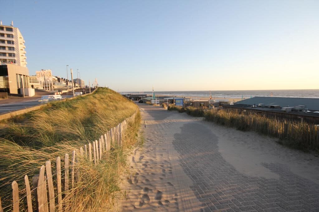 A coastal walkway with a wooden fence, a paved path, and buildings in the background.