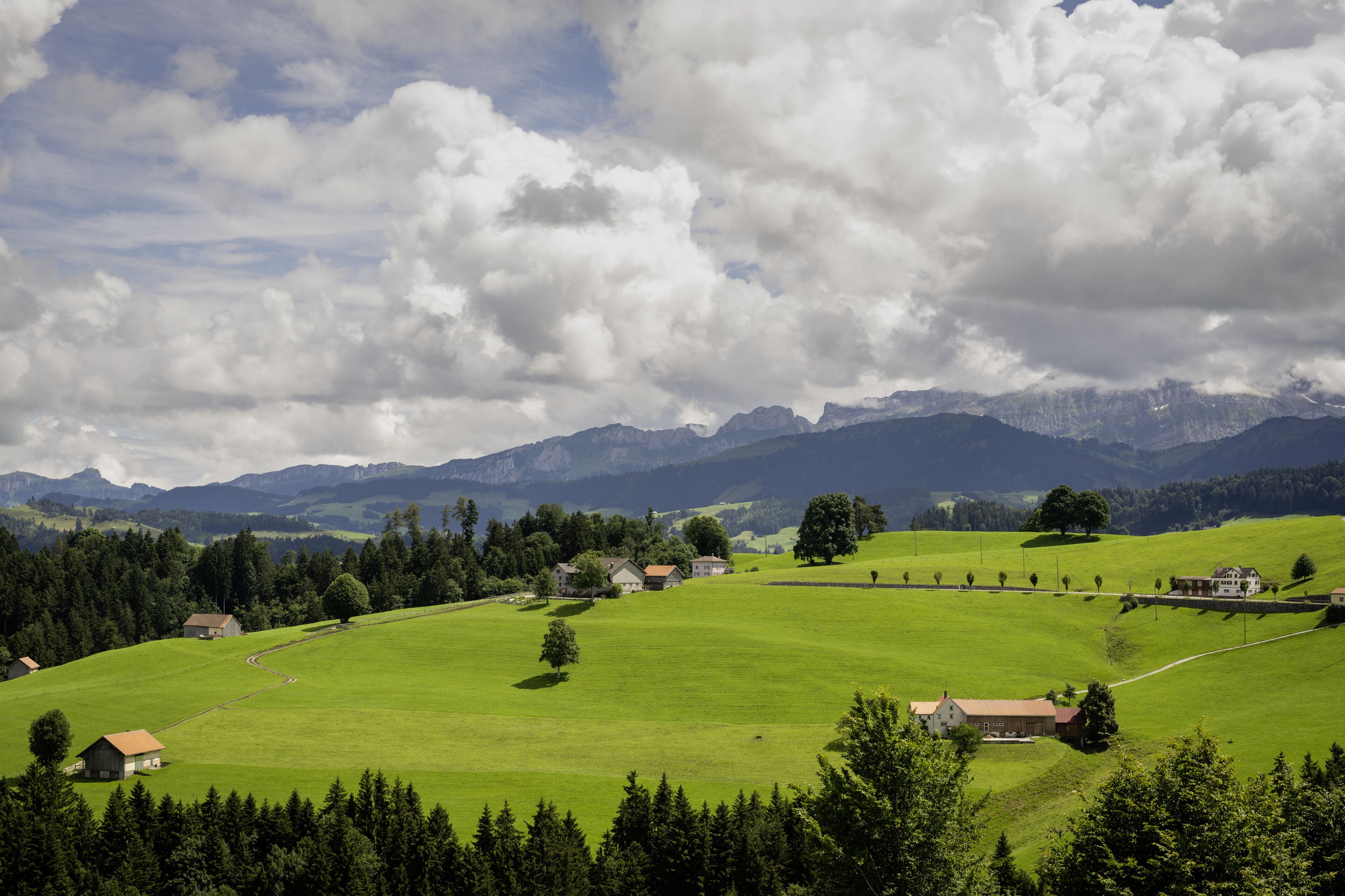 Un paysage rural caractérisé par de vastes champs verdoyants, des arbres dispersés et quelques bâtiments.
