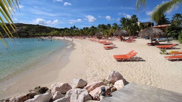 Ein Strand mit klarem türkisblauem Wasser, sandigem Ufer und Palmen.