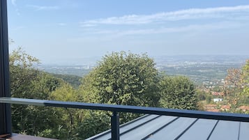 Un balcón con vistas a un paisaje urbano y áreas verdes.