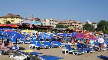 Playa privada en los alrededores y traslado desde/hacia la playa gratis