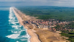 An aerial view of a coastal town with a beach, dense greenery, and a cluster of buildings.
