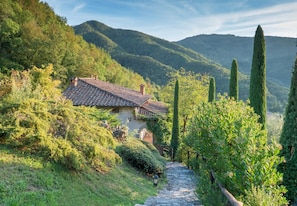 Escape to a serene hillside retreat surrounded by lush greenery and tall trees.