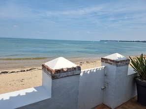 Vista a la playa con una pared blanca y una planta en maceta.