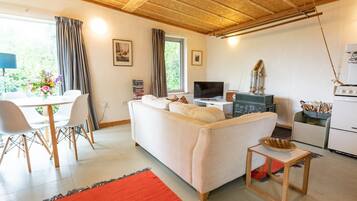 Smart TV, DVD player