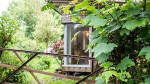 A rustic metal gate with vines in the foreground, leading to a small glass-walled structure with a wooden deck, surrounded by lush greenery.
