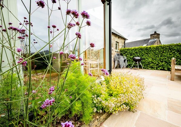 A garden with various plants and flowers, a stone wall, and a building with a window and a door in the background.