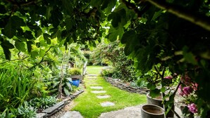 A garden pathway with stepping stones, surrounded by lush greenery and various plants. - A gorgeous property right on the beach - perfect for families (Newport)