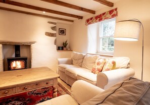 Televisión y reproductor de DVD 