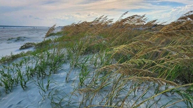 A coastal landscape with a beach, grassy dunes, and a cloudy sky. - Fripper Upper: 1st Floor, Just for TWO, MARSH Views, FREE Coffee/Tea/Creamer, Club Cards Available! (Fripp Island)