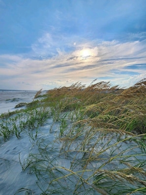 Een kustlandschap met een strand, begroeide duinen en een bewolkte lucht.