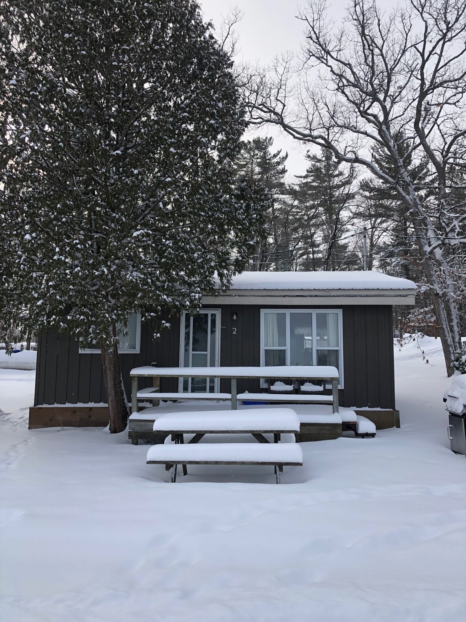 Une petite cabane avec une table de pique-nique et des bancs, le tout abrité, et entourée d’arbres couverts de neige.