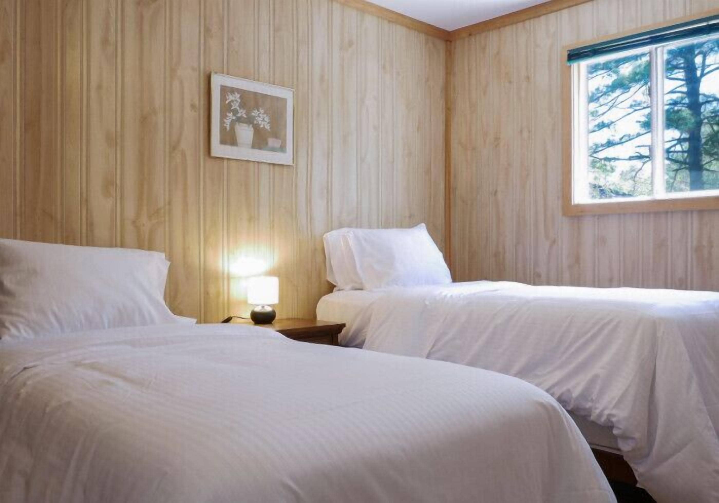 Quarto com duas camas, paredes de madeira, um quadro emoldurado e uma janela com vista para uma árvore.