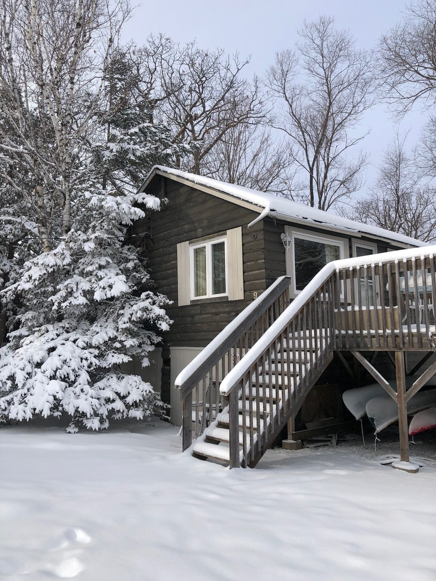 Traditional Cabin