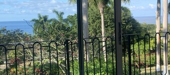 1 Br w Seaview- Zeppelin Suite MM Pool, Staff, Comp Trip Plan, Yatch/PJ Rental