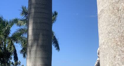 1 Br w Seaview- Zeppelin Suite MM Pool, Staff, Comp Trip Plan, Yatch/PJ Rental