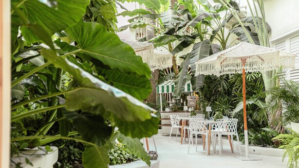 An outdoor patio area with white chairs and tables, surrounded by large green plants and a white umbrella. -  Casa DiLuca Cartagena Hotel Boutique (Cartagena)